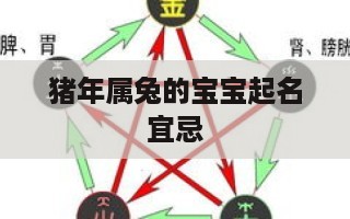 猪年属兔的宝宝起名宜忌 属兔的开公司免费起名大全-第1张图片