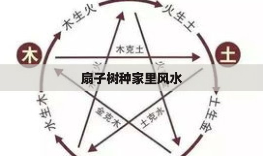 扇子树种家里风水 家里有扇子树风水好吗-第1张图片