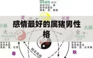 感情最好的属猪男性格 71年属猪金牛座男人的性格-第1张图片
