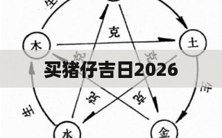 买猪仔吉日2026 2025买猪仔最佳时间-第1张图片
