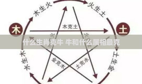 什么生肖克牛 牛和什么属相最克-第1张图片