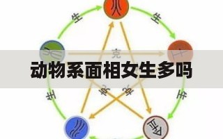 动物系面相女生多吗 狐眼女生面相分析-第1张图片