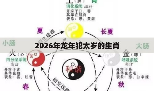 2026年龙年犯太岁的生肖 龙年犯太岁都有什么生肖-第1张图片