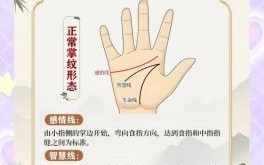 女性手相感情线分叉解析与图解