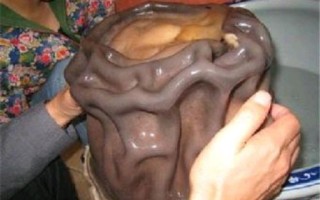 太岁头上动土的含义