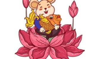 龙争玄黄猜一生肖