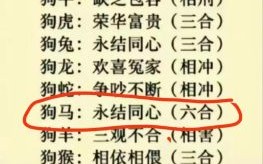 属马与属狗的婚姻怎么样属狗与马相配婚姻如何