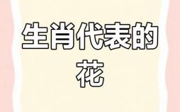 看雾里看花是什么生肖？十二生肖雾里看花是谁