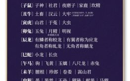 十二生肖的属性是什么？十二生肖的代号和属性