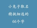 属兔女孩名字大全洋气点的 属兔女孩名字简单大方洋气