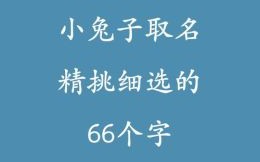 属兔女孩名字大全洋气点的 属兔女孩名字简单大方洋气