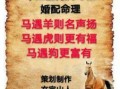 马与什么属相最配？生肖马最佳婚配属相解析