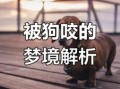 属狗本命年被狗咬什么预兆