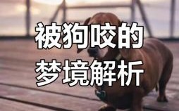 属狗本命年被狗咬什么预兆