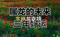 2025年五月属龙吉利日子 2025年属龙吉利日子