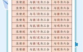 龙凤呈祥双胞胎对应哪种生肖