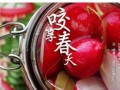 立春食萝卜的象征