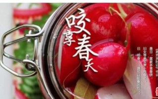 立春食萝卜的象征