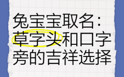 带草字头的兔宝宝名字 2026年最旺女孩名字兔草字头