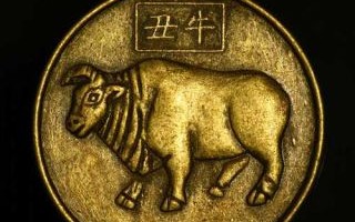 八字合犬是什么生肖？狗与狗的八字相合吗