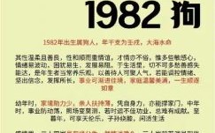 属狗出生日命运指南