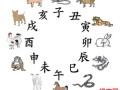 间的生肖是什么生肖？天间两阴会是什么生肖
