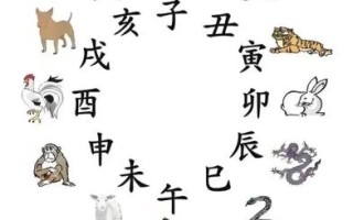 间的生肖是什么生肖？天间两阴会是什么生肖
