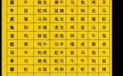 属鼠与属马相克吗，属马的人和属鼠的人