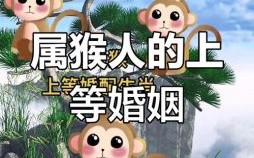 猴类配偶选择，属猴者适宜婚配对象