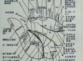 手相手纹预测图解