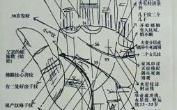 手相手纹预测图解