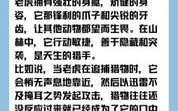 肉山脯林里开过哪些生肖