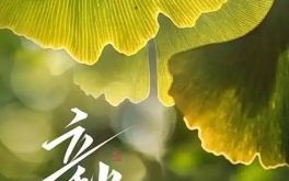 今年立秋几点钟 今年立秋在几时几分