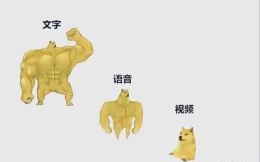 狮子座会卑微吗狮子座会自卑吗