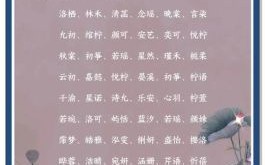 古代名字有哪些女孩子的名字- 古代取名字女孩名字