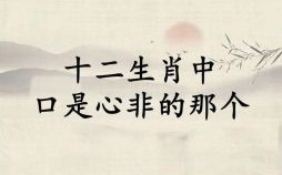 鞤是什么生肖？2019年是什么生肖