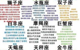 处女座女生配什么星座男生与双子座女生和什么星座男生最配