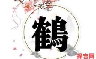 鹤取名字好不好 鹤字取名的寓意女孩名字