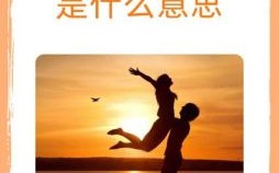 8023数字的爱情寓意