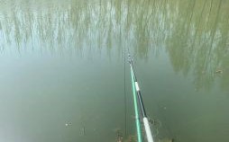 2025年5月19日适宜钓鱼吗 2025年5月能否钓鱼