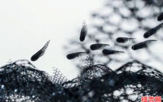 易变其志的生物