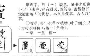 萱起名字女孩名字 萱取名字女孩名字