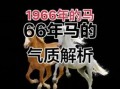 1966年属马人2022年运势与运程