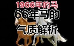 1966年属马人2022年运势与运程
