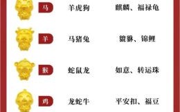 替换换代对应什么生肖