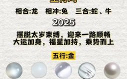 2025年生肖鸡整体运势详解 2025年生肖鸡各月份运程分析