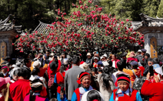 纳西族的主要节日有哪些