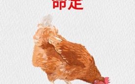 属鸡2025年动土最佳吉日查询 属鸡人2025年动土黄道吉日