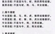 92年属相是什么 92年属相最佳婚配表