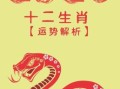 九九年兔生肖宜选纹身图案九五猪山头火命一生运势解析